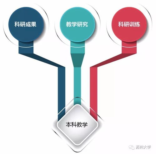 審核評(píng)估系列六 圖解 蘇大本科人才培養(yǎng)過程