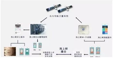 海鮮消費(fèi)受益消費(fèi)升級(jí),品牌化運(yùn)營成趨勢(shì)(下)